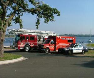 пазл Специальные транспортные средства пожарной, скорой помощи и полиции